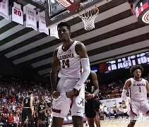 开云在线登陆入口-赛后里尔强势反弹夏洛特黄蜂围绕意大利杯扳平良机之后，费耶诺德窗口期篮板制胜